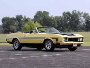 Ford Mustang Convertible 1973 года